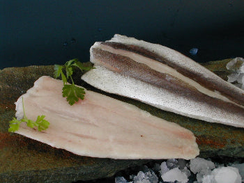 Filete de merluza austral